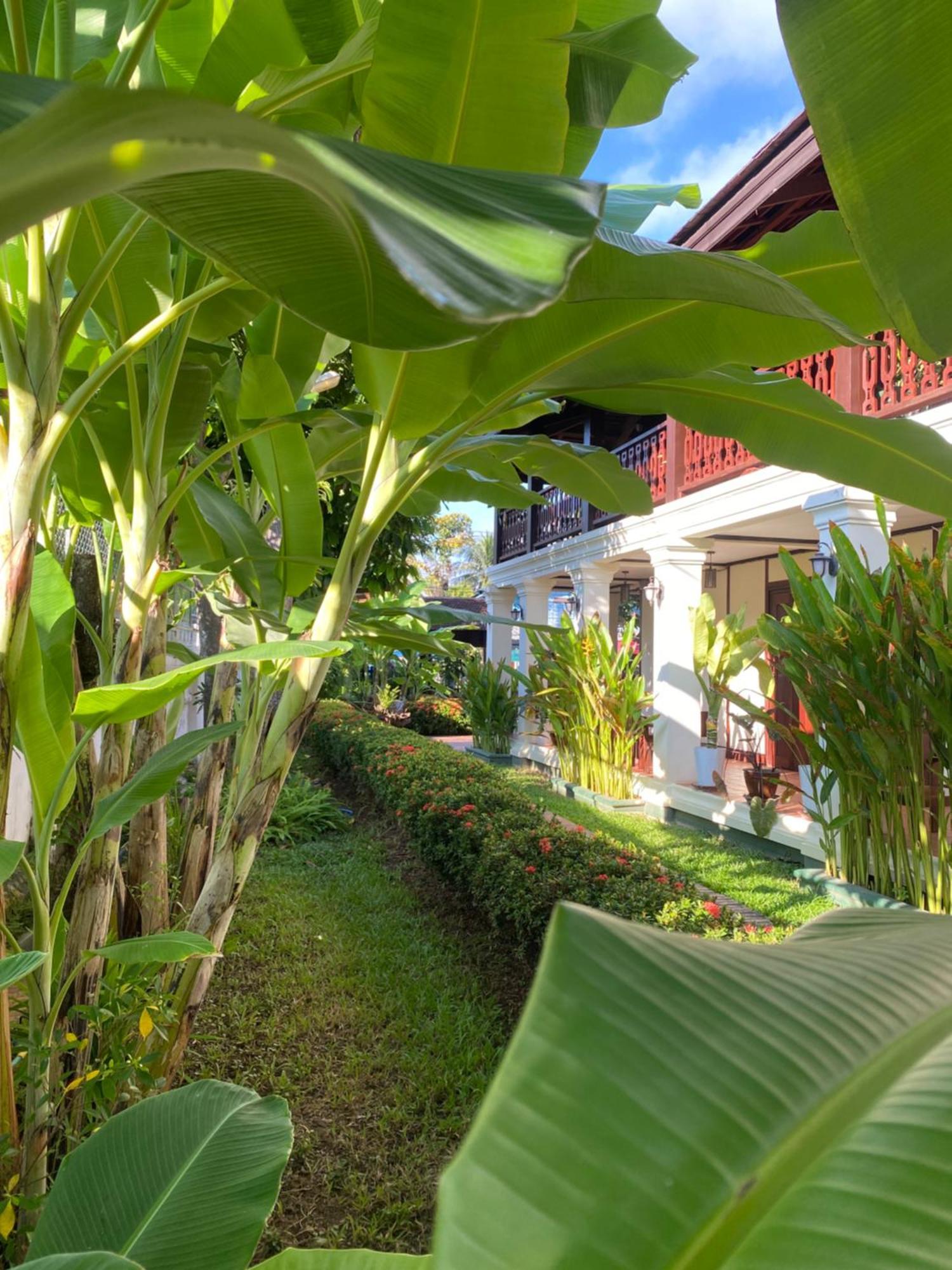 Luang Prabang Residence & Travel Exterior photo